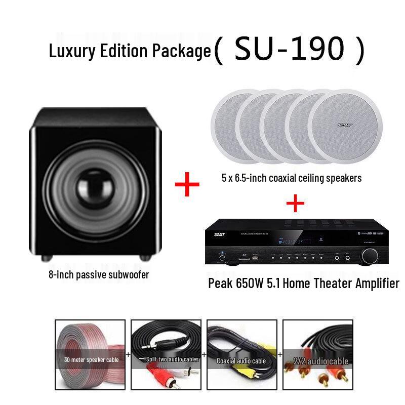 SAST 6.5-inch Coaxial Ceiling Speaker for Background Music (CN version)