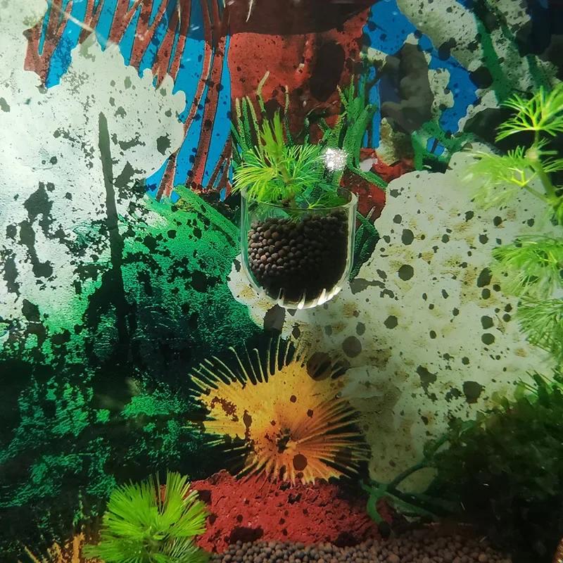 Acrylic Aquarium Feeder Hanging Fish Tank Mini Crystal Pot Polka Water Potted Planting Cylinder Cup Aquarium Decor Accessories