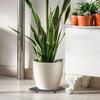 Plastic Plant Level Pot Elevator 20/30/40cm Plant tray Tray Stand Flower Pot Tray  Plant Pot
