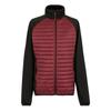 Regatta Mens Clumber Hybrid Jacket