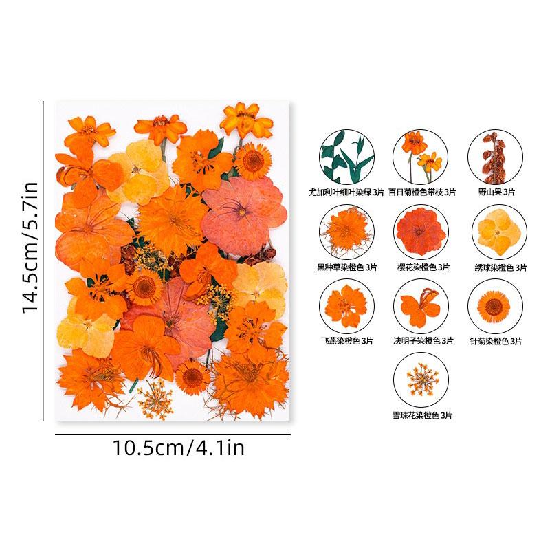 Halloween Theme Pressed Flower Kit for Resin Art Natural Real Pressed Orange Flower Leaves for DIY Epoxy Jewelry Bookmark