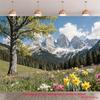 Pentru studiouri foto – Fundaluri pentru studiouri fotografice