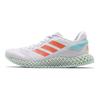 4D Run 1.0