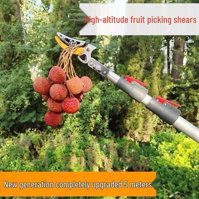 Teleskop-Astschere & Obstpflücker für hohe Äste - Ideal für Kaki, Litschis, Longans und Mispeln
