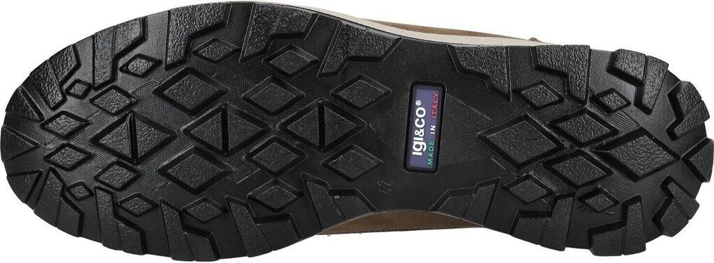 Ботинки Igi&co U Eloy GTX beige