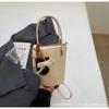 Korean version niche design bag women's 2025 new popular messenger bag casual portable bucket bag shoulder mobile phone bag
