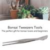 Rust Proof Bonsai Tweezers Set Crescent Moon Head Long Plant Tweezers Rake Spatula Tools
