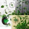 10-100PCS Plant Climbing Wall Fixture Clips Self-Adhesive Invisible Plant Support Garden Vine Climbing Fixture Plant Accessories