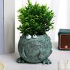 Planter Pot for Home And Garden Decoration
