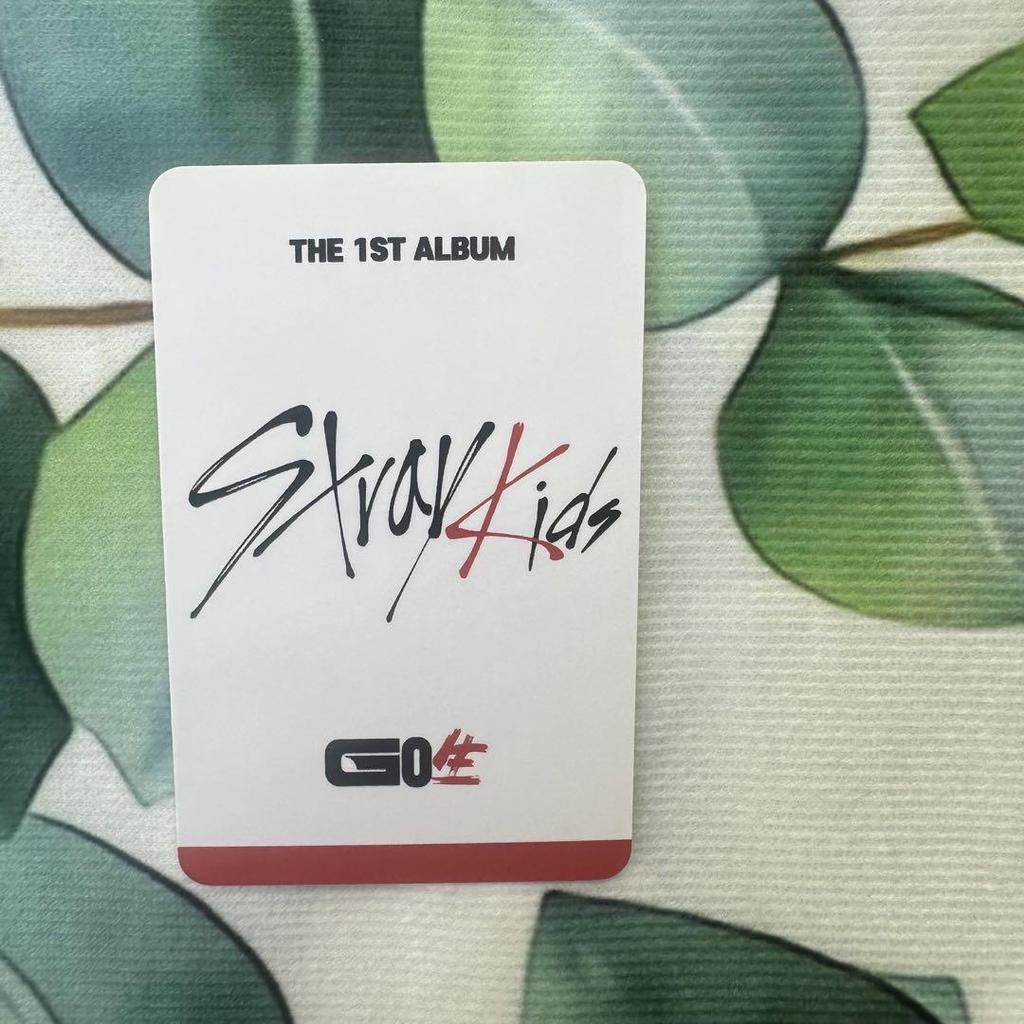 [USED] StrayKidsGO Live Bonus SUBK GOLIVE Changbin Trading Card