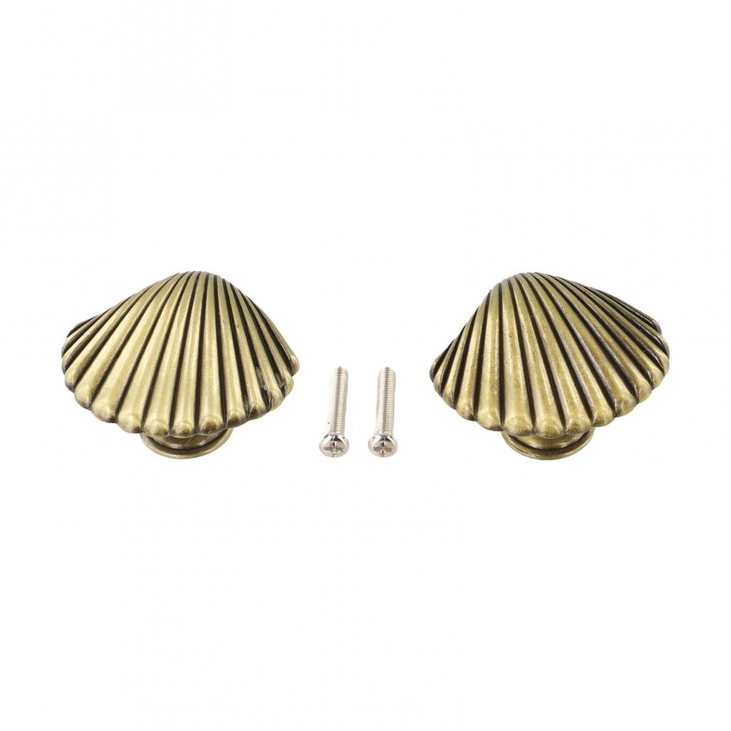 Unique Shell Pull Handle for Furniture In Zinc Alloy Material