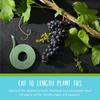 Garden Ties | Plant Supports for Effective Growing | Strong Grips Are Reusable and Adjustable | Cut-to-Length, 10m