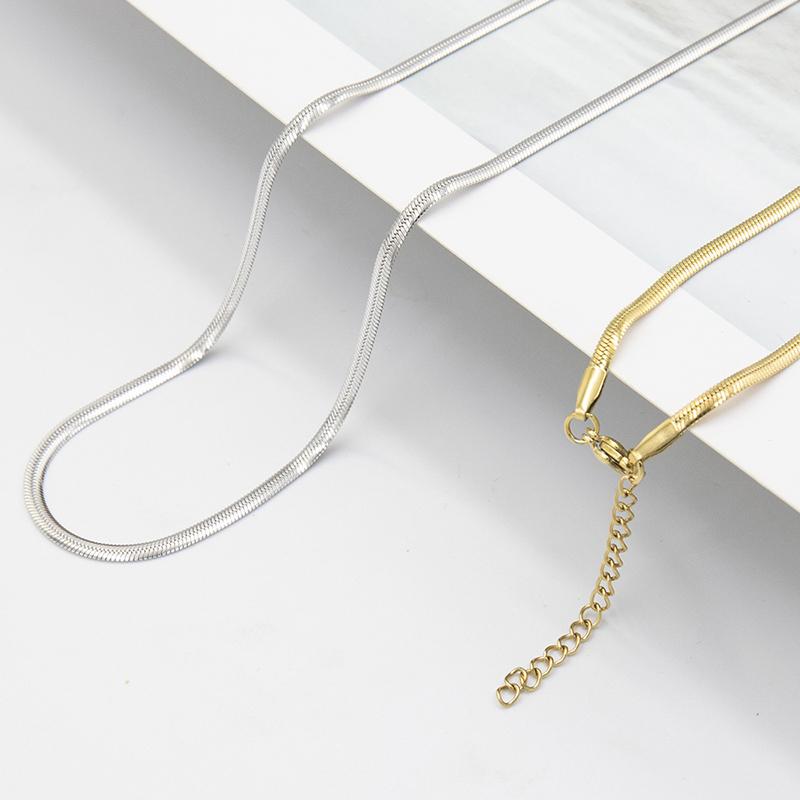 Personality Simple All-Match Hip-Hop Clavicle Chain Light Luxury European American Titanium Steel Non-Fade Flat Snake Bone Chain