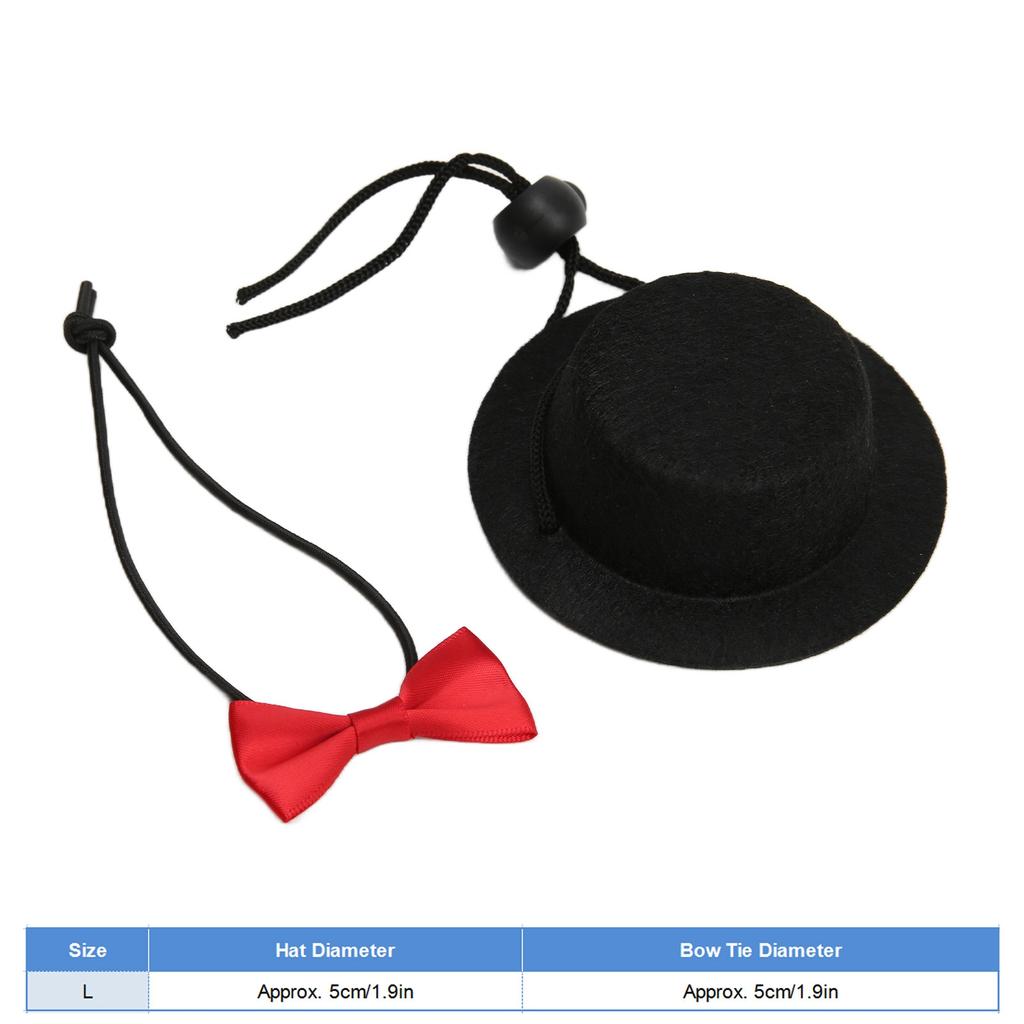 Reptile Hat and Bow Tie Cute Valentine s Day Clothes Set for Bearded Dragon Hamster Guinea (Black Hat Red Bow Tie S)