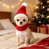 Soft Puppy Knitted Hat Autumn Winter Cat Woolen Hat Pet Button Knit Scarf Hat  Spring Festival