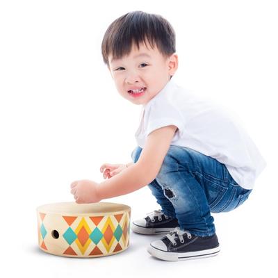 PLANTOYS 6423 Rhythmusbox