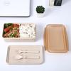 Portable Wheat Straw Lunch Boxs Containers with Compartments Knife Fork Picnic Food Container Microwave Bento Box