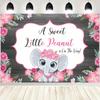 Acessórios para estúdios fotográficos – Pepel de parede para estúdio fotográfico