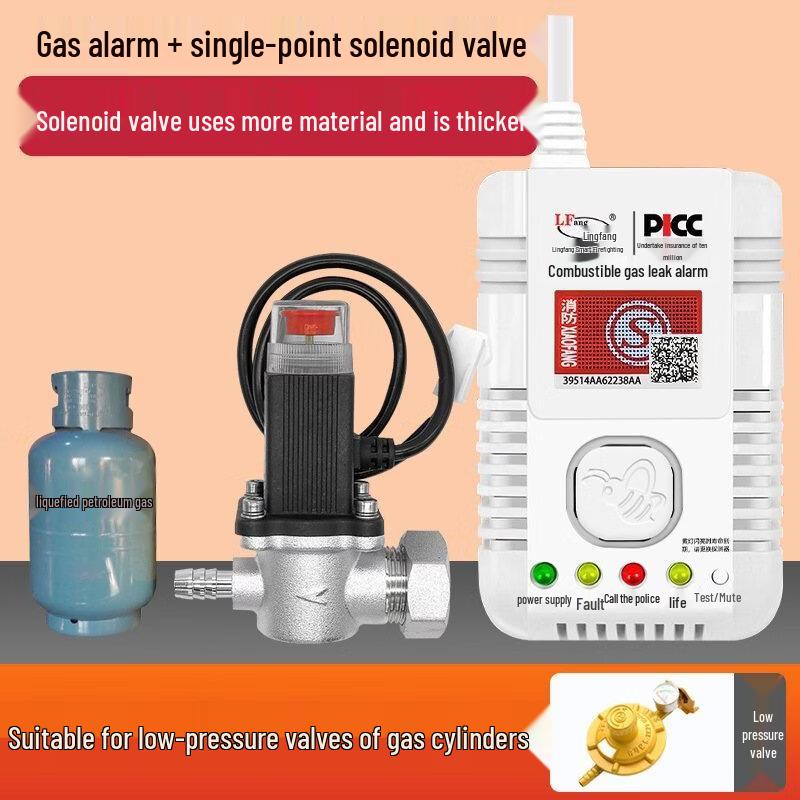 Brangdy Gas Leak Detector Alarm Kit 111*71*44