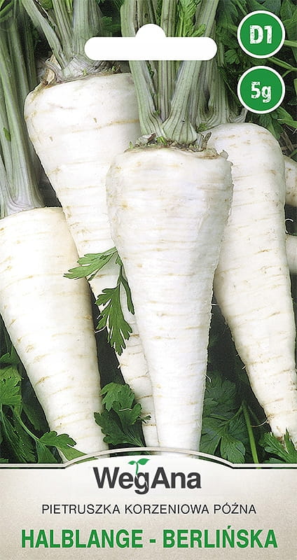 Halblange Late Root Parsley - Berlinska TOR 5g Parsley Seeds - WegAna
