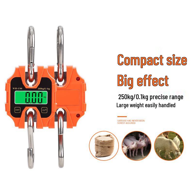 WH-C08 Portable Digital Hanging Scale