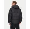 Winter Jacket Adidas Adicolor JD9071, Black, Standard Fit