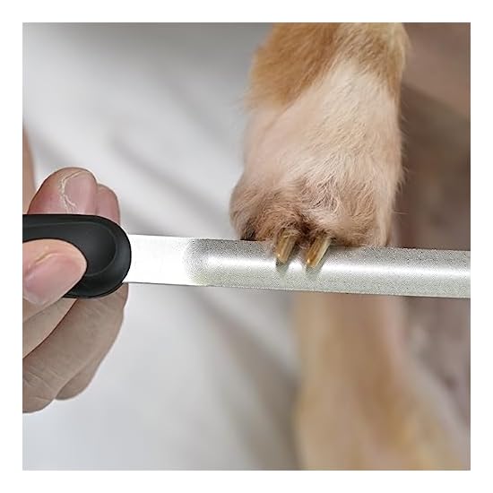 2-Way Curved Nail File for Pets: For Senior Cats & All Dog Breeds