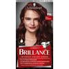 Briance Hair Color 876 Fine Mahogany