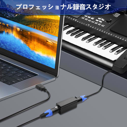 CERRXIAN XLR Ground Loop Noise Isolator, XLR Male To Female Passive Isolation Transformer, Ground Loop Hum Elimination Noise Filter for Studio, Home,