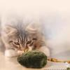 Funny Simulation Mouse Cat Toy Automatic Chirping Bite Resistance Interactive Cat Toy Soft Relieve Boredom Mouse Cat