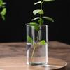 Clear Glass Flower Vase Tabletop Borosilicate Vases Floral Arrangements for Home Office Wedding Table