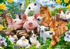 Puzzle 60 Pieces B-066209 Farm Friends