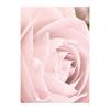 Scandinavian Pink Flower Cherry Blossom Rose Peony Nordic Posters And Prints Wall Art Canvas Painting Wall Pictures For Living Room