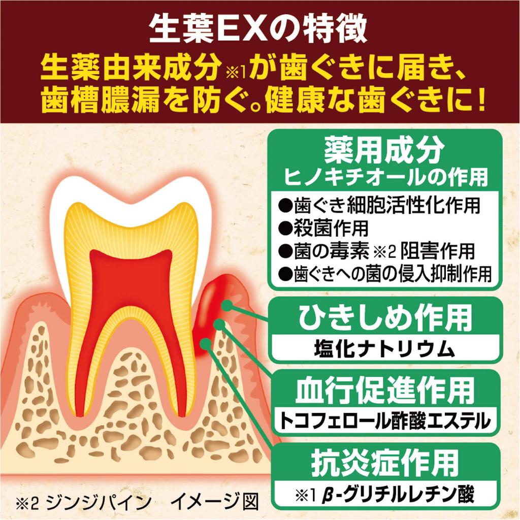 Dentifrice médicinal Fresh Leaf EX pour prévenir la pyorrhée, saveur herbes japonaises et chinoises, 100 g (Shoyou EX) [Quasi-drogue]