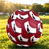 Pallone da Calcio Taglia 5 Stampato Cristiano Ronaldo Resistente all'Usura Standard Allenamento Adulti Regalo per Fan Partite Indoor Outdoor Sport