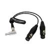 Cables XLR Breakout Audio Input Cable for Atomos Shogun Monitor Right Angle To Dual XLR Female Alvin's Recorder, 10-pin 3-pin