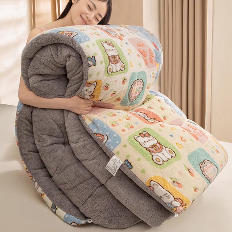 OEING Thick Double-Sided Lamb Velvet Quilt 200x230cm