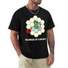 Boards of Canada TShirt Tops Oversizeds Mens Graphic Tshirts Big and Tall