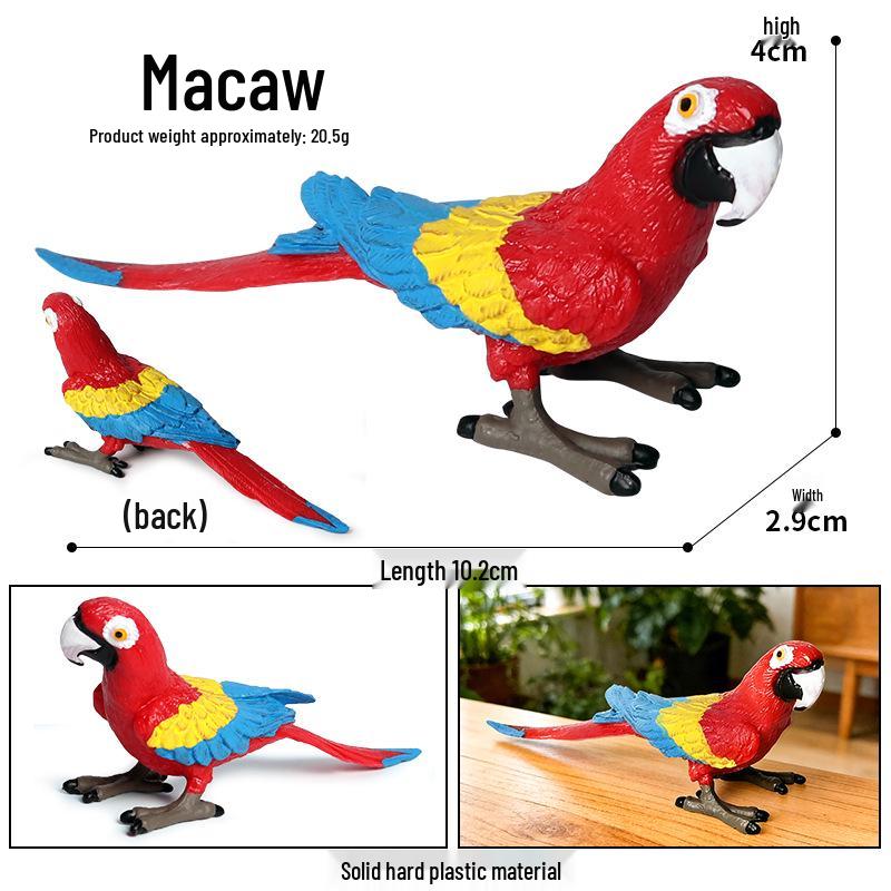Kids' Bird Model Set: Toucan, Parrot, Ostrich, Peacock, Eagle, Pigeon, Owl.