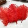 Ostrich Hair Colored Feathers 20-25Cm Wedding Table Lamp Decoration Stage Diy Material Clothing Accessories