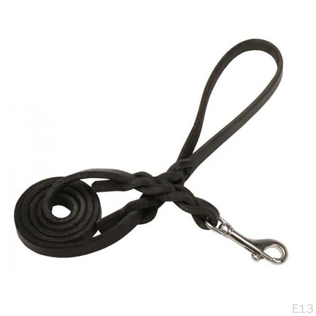 Single Ended Snap Bolt Clip Buckle & Large Swivel 16 Stainless for Underwater Diving, Boating,
