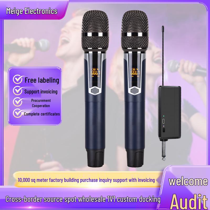 2.4G Wireless High Fidelity Noise-Reducing Microphone for KTV, Stage, Home Party, and Speech