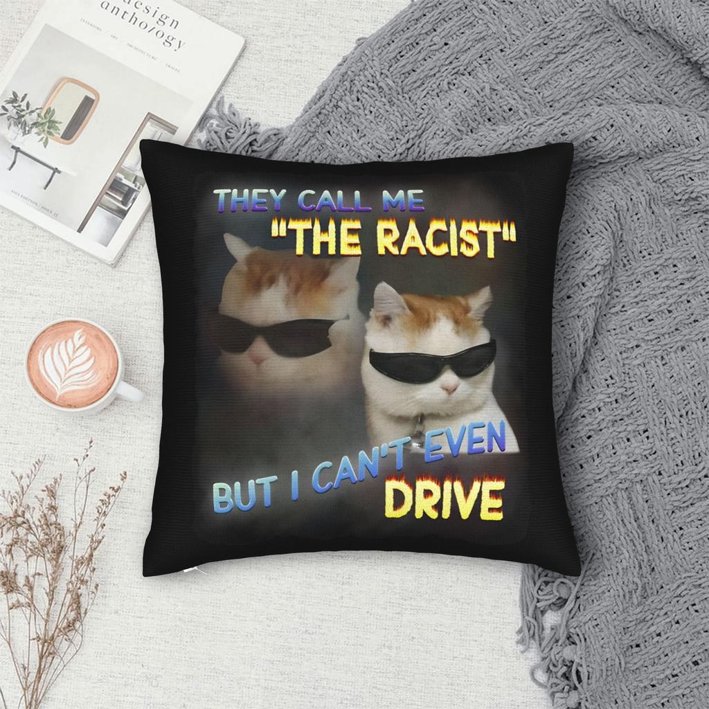 The Racist Funny Cat Dank Meme Printed Pillowcase Cushion Cover Throw Pillow Cover Y2K Chair Decoration Square Multi-Size