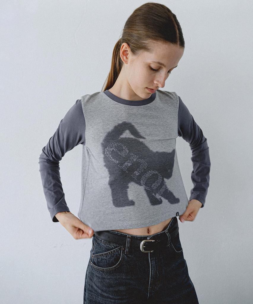 EN OR Enor Cat Crop T-Shirt - Gray
