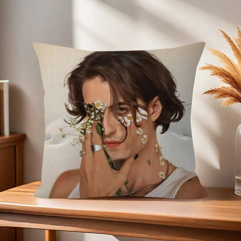Rock Singer DDamiano David Cushion Cover Decorative Pillow Sofa Home Decor case pillow cases