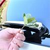Chrome 3PCS Rear Window Rain Wiper Blade Cover Trim For Honda CR-V CRV  2024