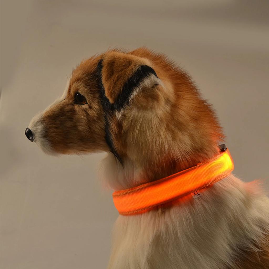 Nylon LED Night Safety Flashing Glow In The Dark Dog Leash Dogs Luminous Fluorescent Pet Dog Collar