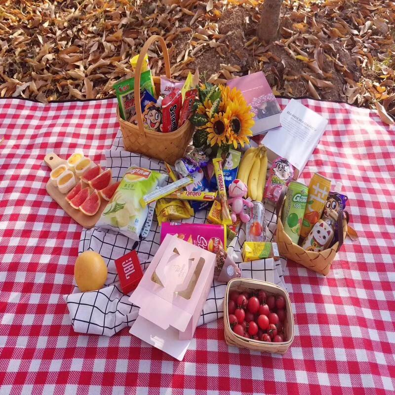 Outdoor Picnic & Beach Mat