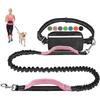 Outdoor running pet leash nylon reflective night run walk fanny pack leash dog leash set