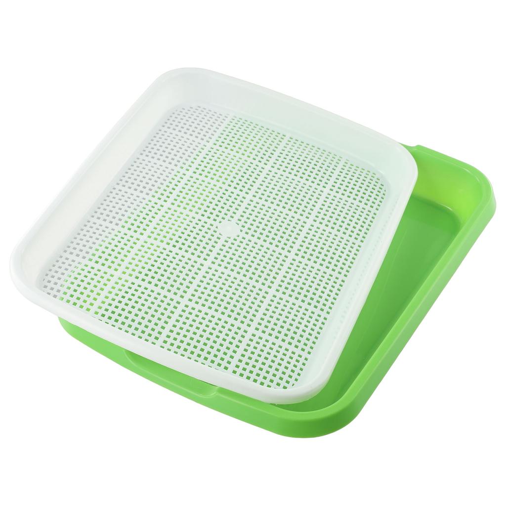 Microgreens Plate Water Planting / Germinate Tray For Sprouts Hydroponics System Germination Tray Nursery With Lid Kits
